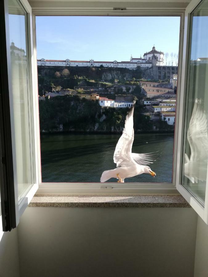 Two-Bedroom Apartment River View,1774662257:JPEG