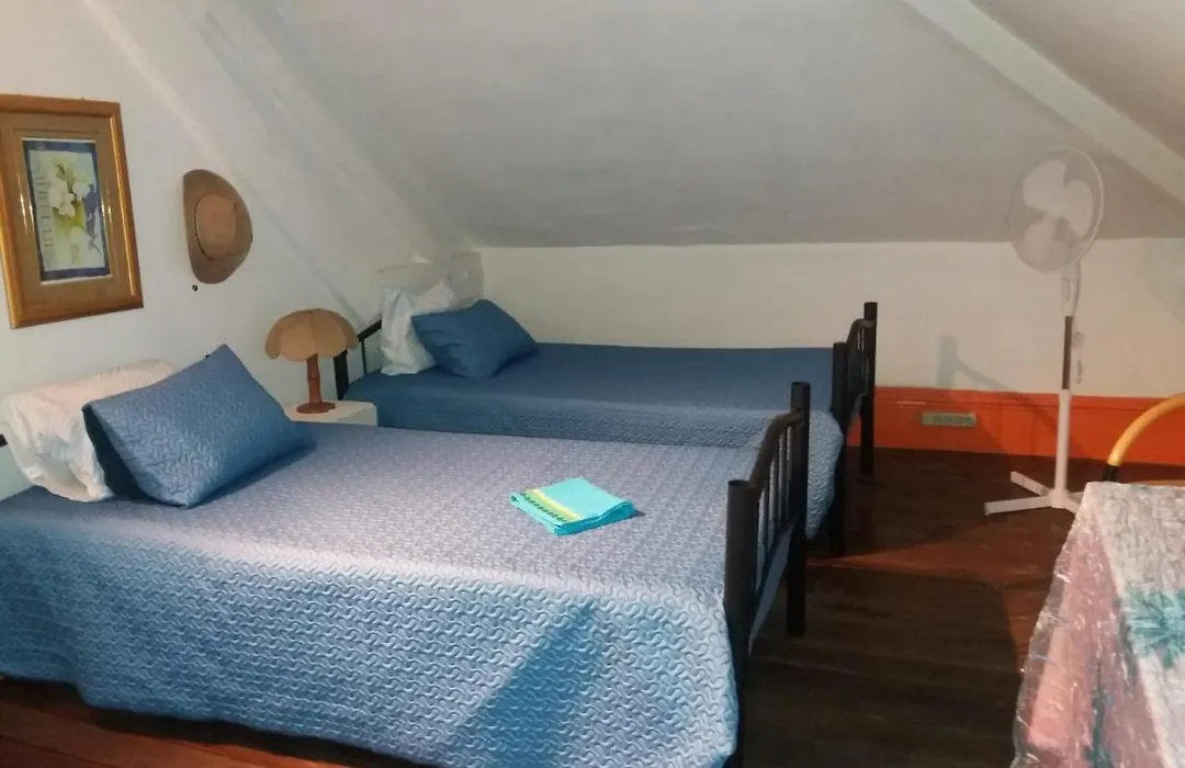 Casa dragão-1