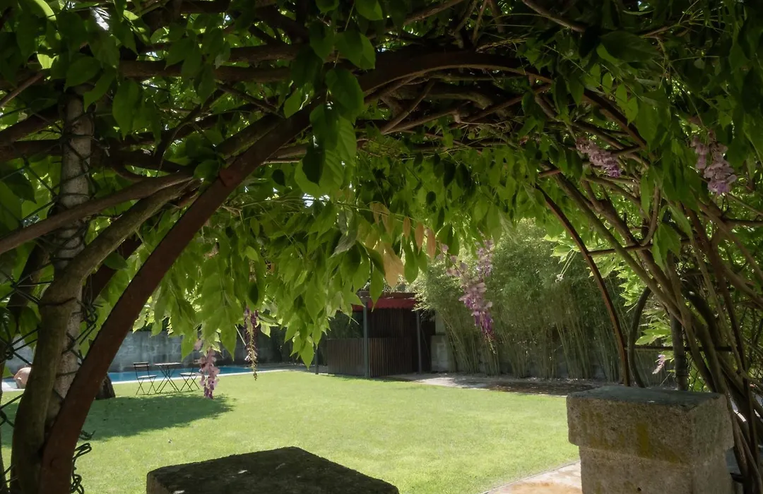 Marques Garden House By Olivia-1