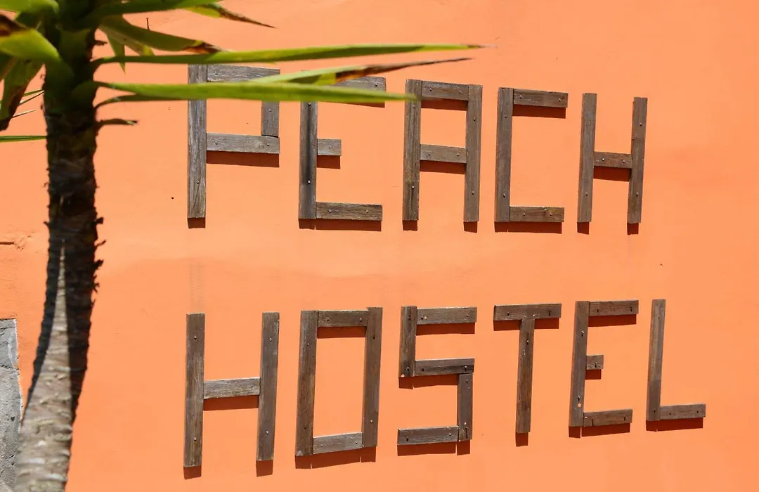 Peach Hostel & Suites-1