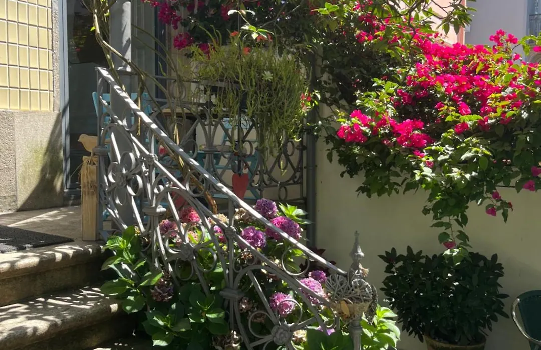 Vila Camelia-1
