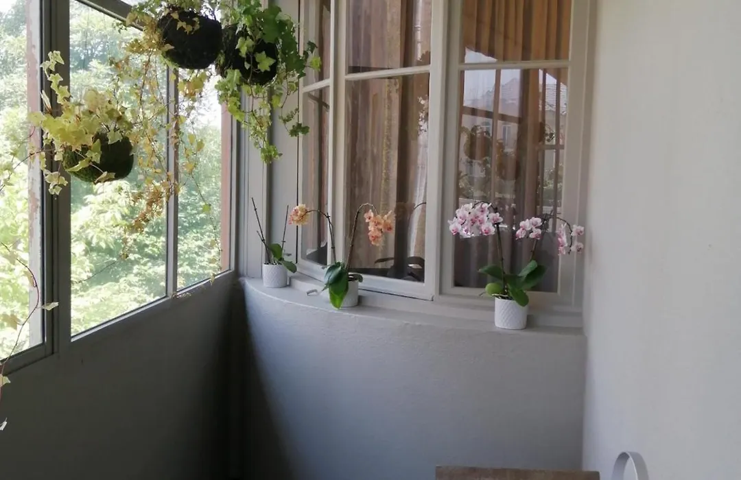 Slowly Garden House-1