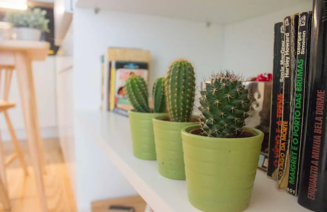 Bright Downtown Apartment-1