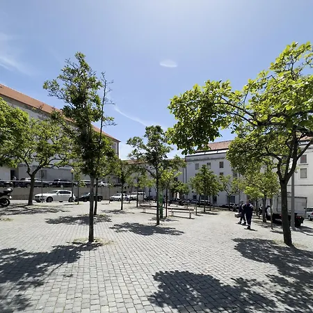Opo Domus-2