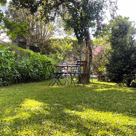 Hostel Alegria-2