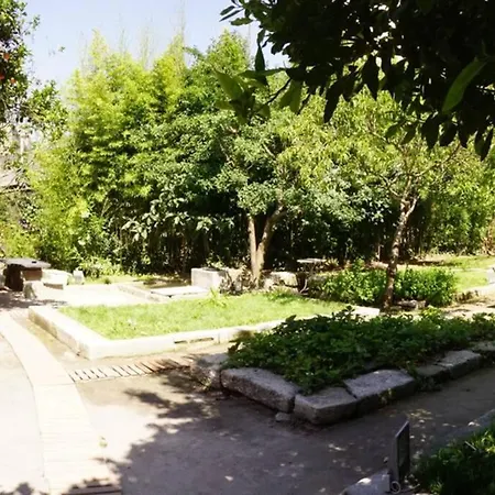 Alegria 1º-3