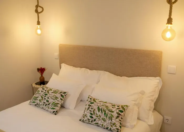 Adega Floresta Residence OOporto acceptant les animaux