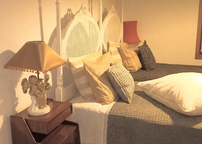 Oporto Central Flat admite animales