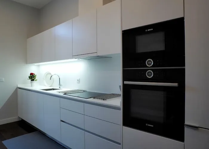 Boutique Cool Terrace Apartment OOporto